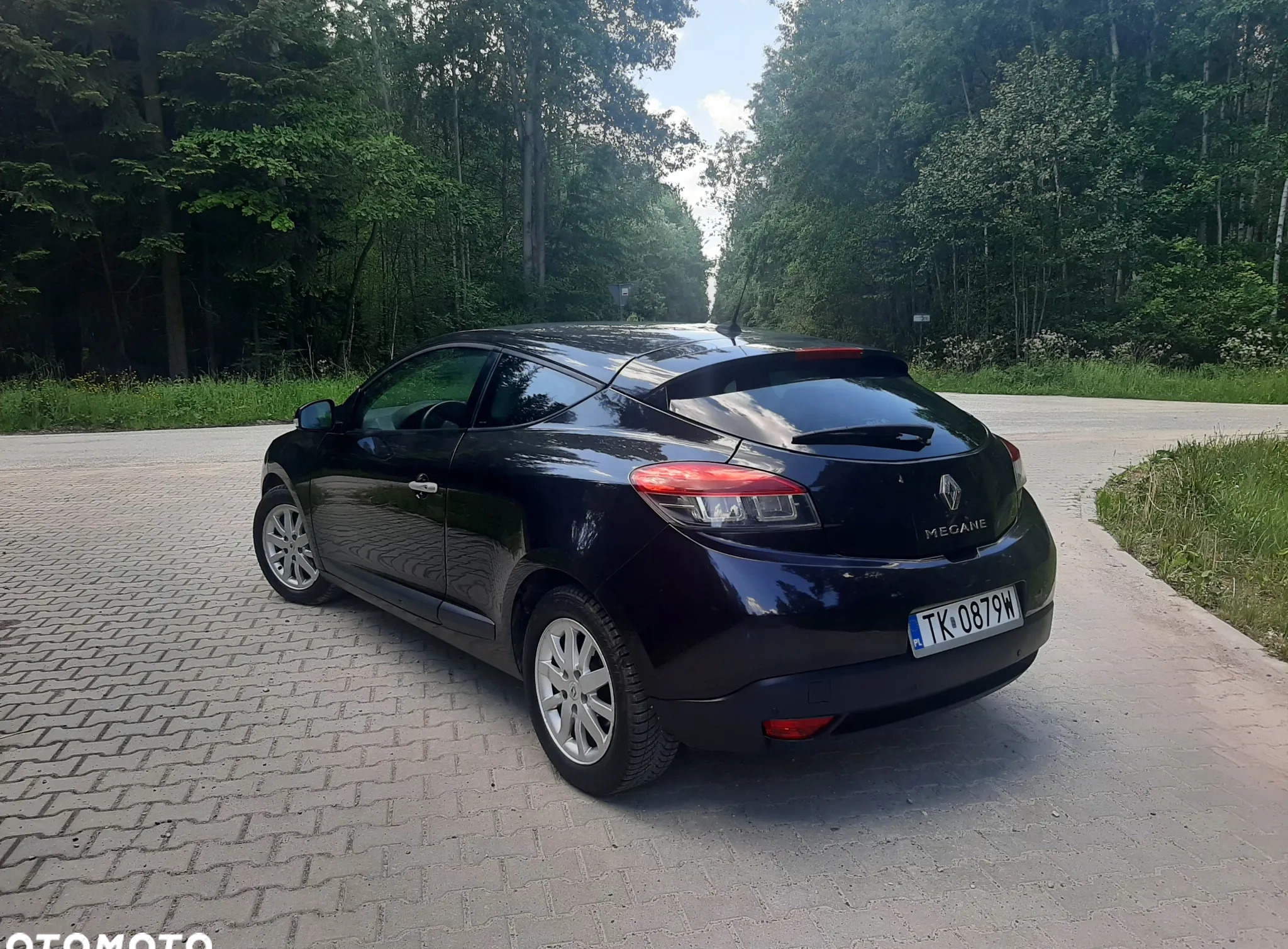 Renault Megane cena 17900 przebieg: 235190, rok produkcji 2010 z Marki małe 154